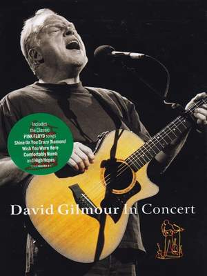 David Gilmour in Concert