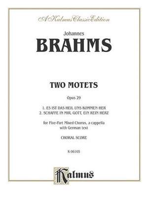 Brahms 2 Motets Op. 29         V