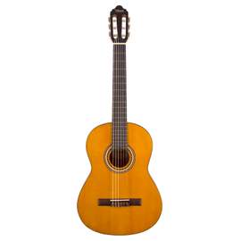 Valencia Classical Guitar 3/4