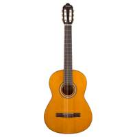 Valencia Guitar 4/4 VC204NA