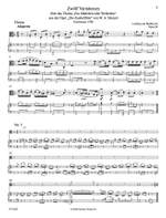 Ludwig van Beethoven: Ein Mädchen oder Weibchen Product Image