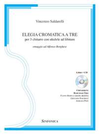 Vincenzo Saldarelli: Elegia cromatica a Tre