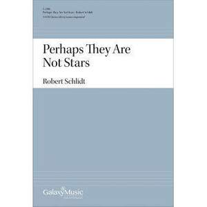 Robert Schlidt: Perhaps They Are Not Stars