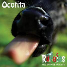 Ocotita