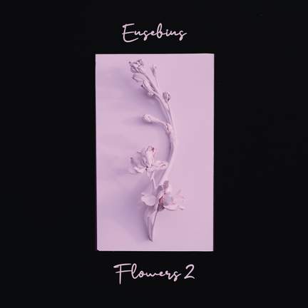 Flowers 2
