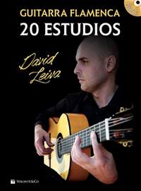 David Leiva: Guitarra Flamenca