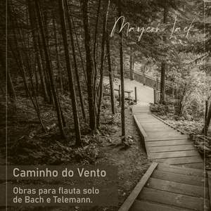 Caminho do Vento