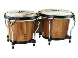 Tycoon: Ritmo Bongos - Jamjuree