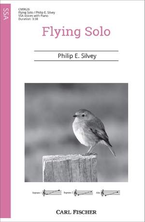 Silvey, P E: Flying Solo