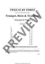 Christopher Wiggins: Twelve By Three Product Image