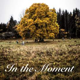 In the Moment