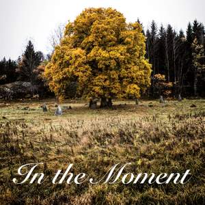 In the Moment