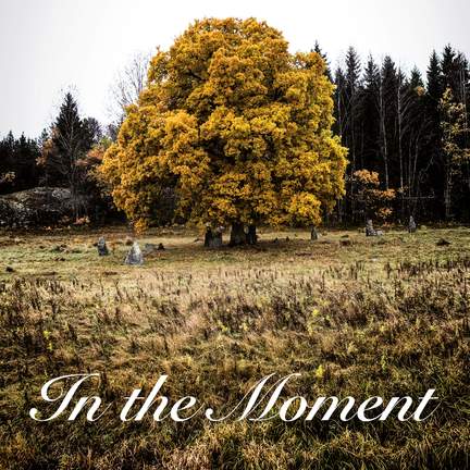 In the Moment