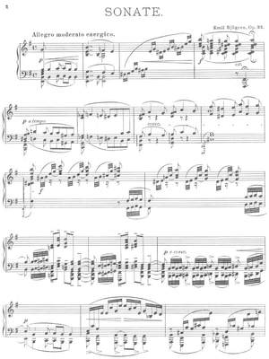 Sjögren, Emil: Piano Sonata e-Minor op. 35
