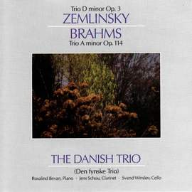 Zemlinsky - Brahms