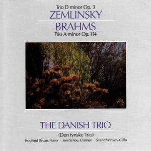 Zemlinsky - Brahms