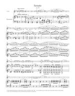 Beethoven, Ludwig van: Complete Sonatas for Pianoforte and Violin (Volumes I & II) Product Image
