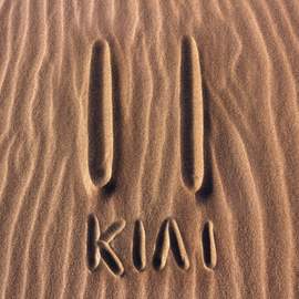 Kiai Ii