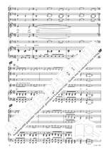 Peter Schindler: Ode to Joy Product Image