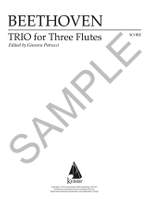 Ludwig van Beethoven: Trio for Three Flutes Product Image