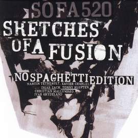 Sketches of a Fusion