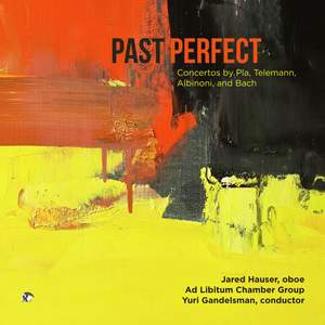 Past Perfect