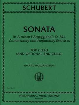 Franz Schubert: Sonata In A Minor D 821