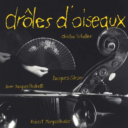 Drôles d'Oiseaux