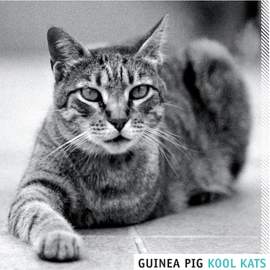 Kool Kats