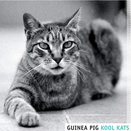 Kool Kats
