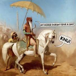 My Horse doesn't Give a Shit