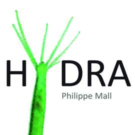 Hydra