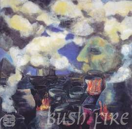 Bush Fire