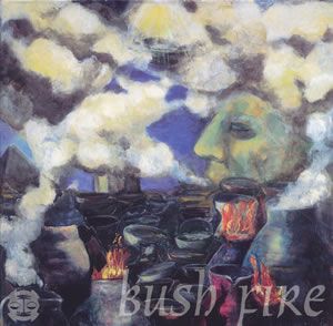 Bush Fire