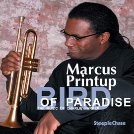 Bird of Paradise