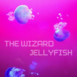 The Wizard