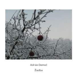 Adrián Demoč: ‘Žiadba’