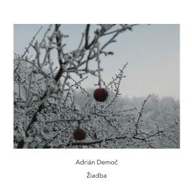Adrián Demoč: ‘Žiadba’