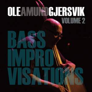 Bass Improvisations Volume 2
