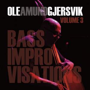 Bass Improvisations Volume 3