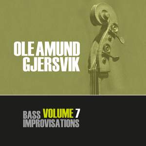 Bass Improvisations Volume 7