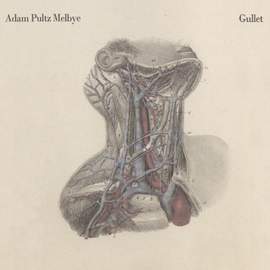 Gullet