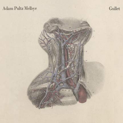Gullet