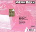 What A Time To Be Alive Product Image