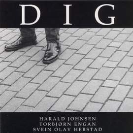 Dig
