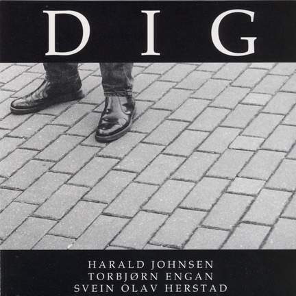 Dig