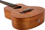 Flight: Antonia Concert Ukulele Product Image