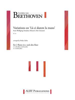 Ludwig van Beethoven: Variations on 'La Ci Darem la Mano'