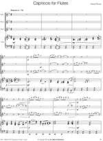 Pascal Proust: Capriccio for Flutes Product Image