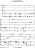 Pascal Proust: Capriccio for Horns Product Image